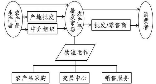 農(nóng)產(chǎn)品物流的發(fā)展趨勢(shì)與主要模式 上海軟件代理與開(kāi)發(fā)的創(chuàng)新視角